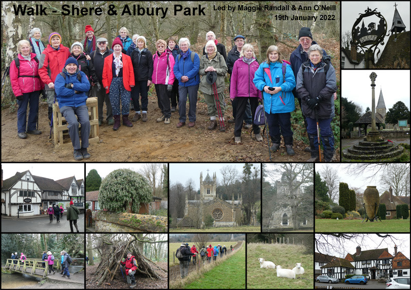 Walk - Shere, Albury Park & Little London - 19th January 2022